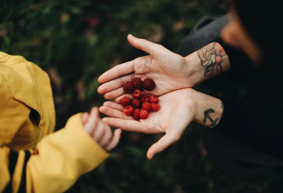 Beeren sammeln mit Kindern