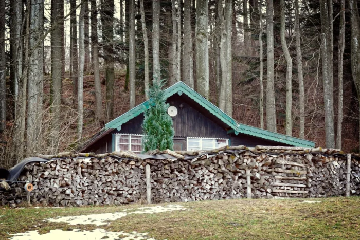 Evakuierungsort Waldhütte