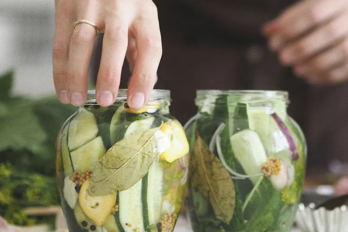 Fermentieren Lebensmittel