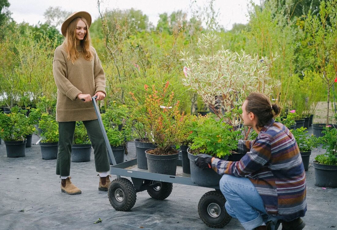 Gardening in the Fall