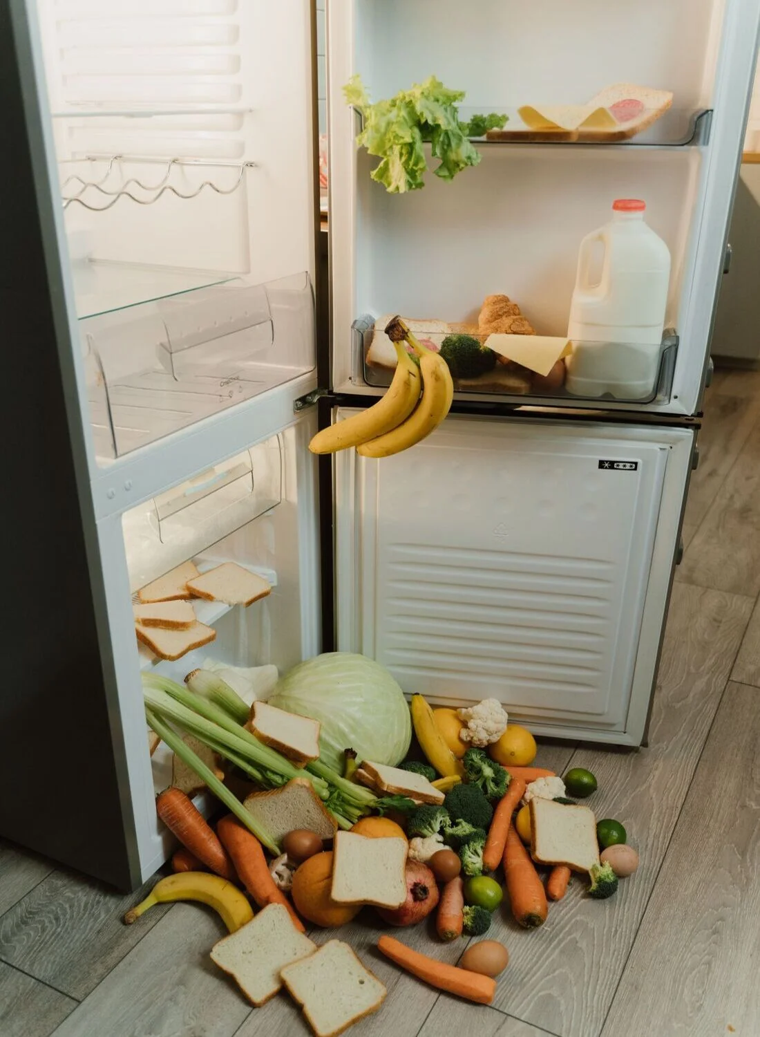 Refrigerator after the blackout