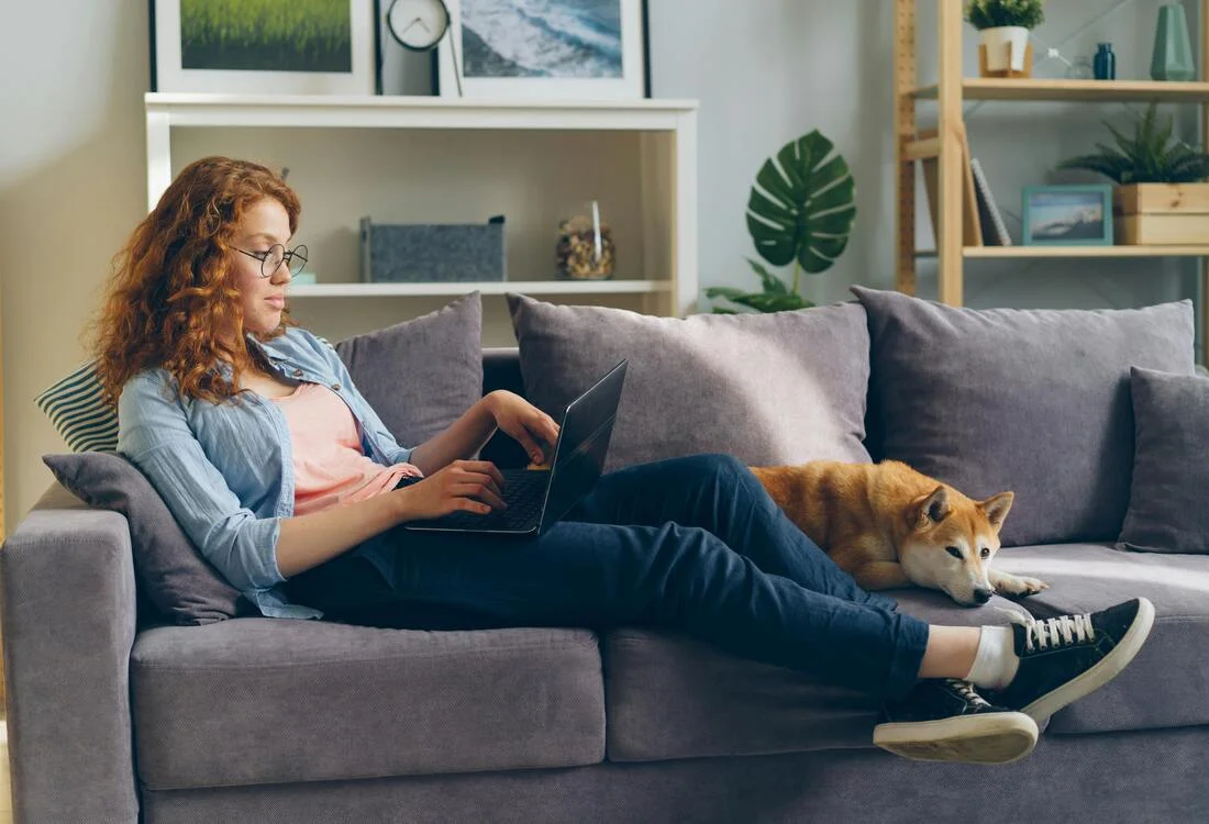 Online course from the comfort of your home