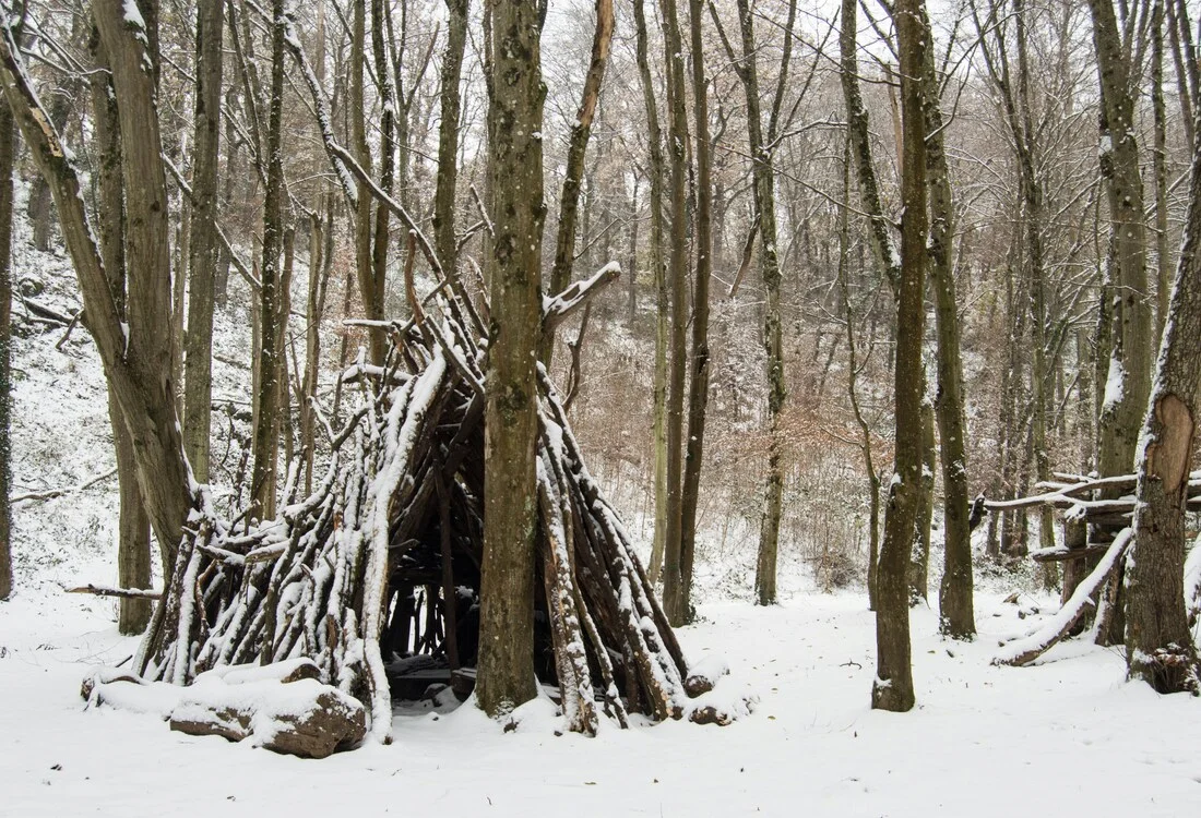 Snow protection tree cradle
