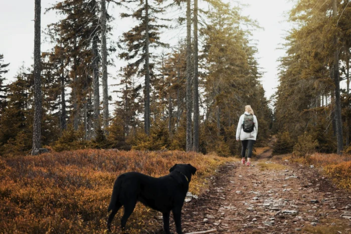 Selbstschutz im Wald