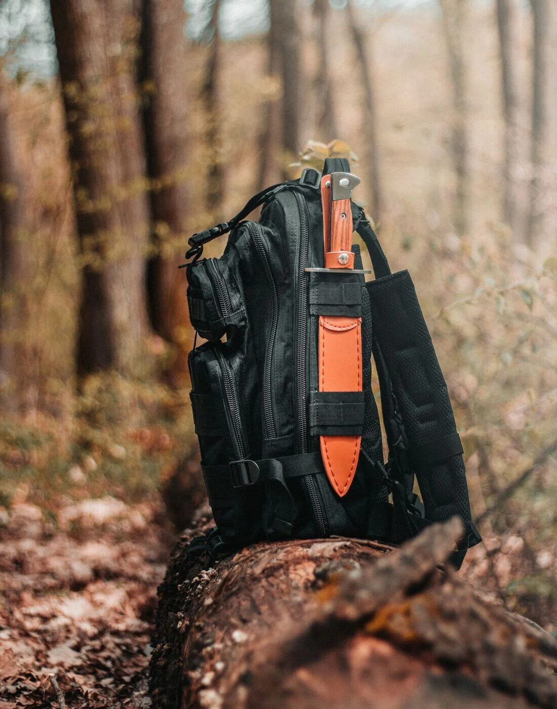 Survival Rucksack Wald