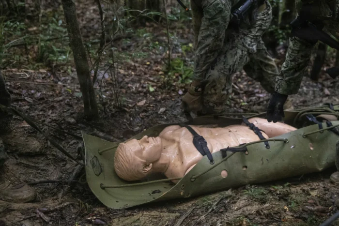 Carrying aid