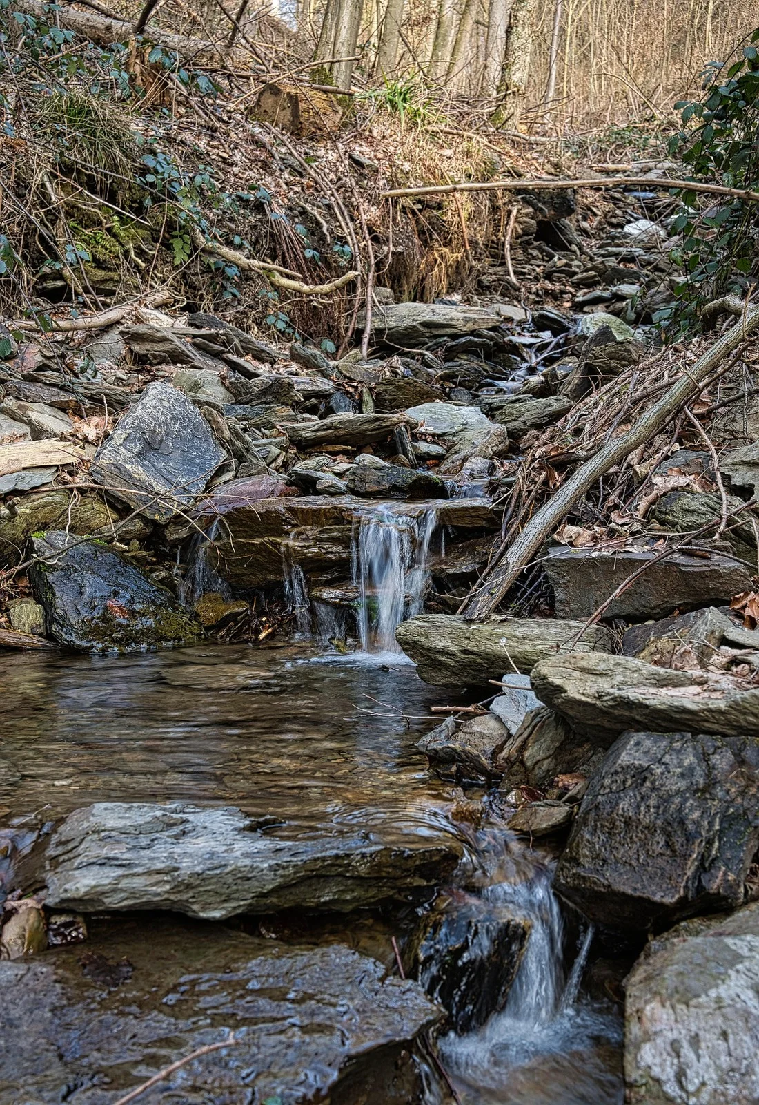 Trinkwasserquelle Bach