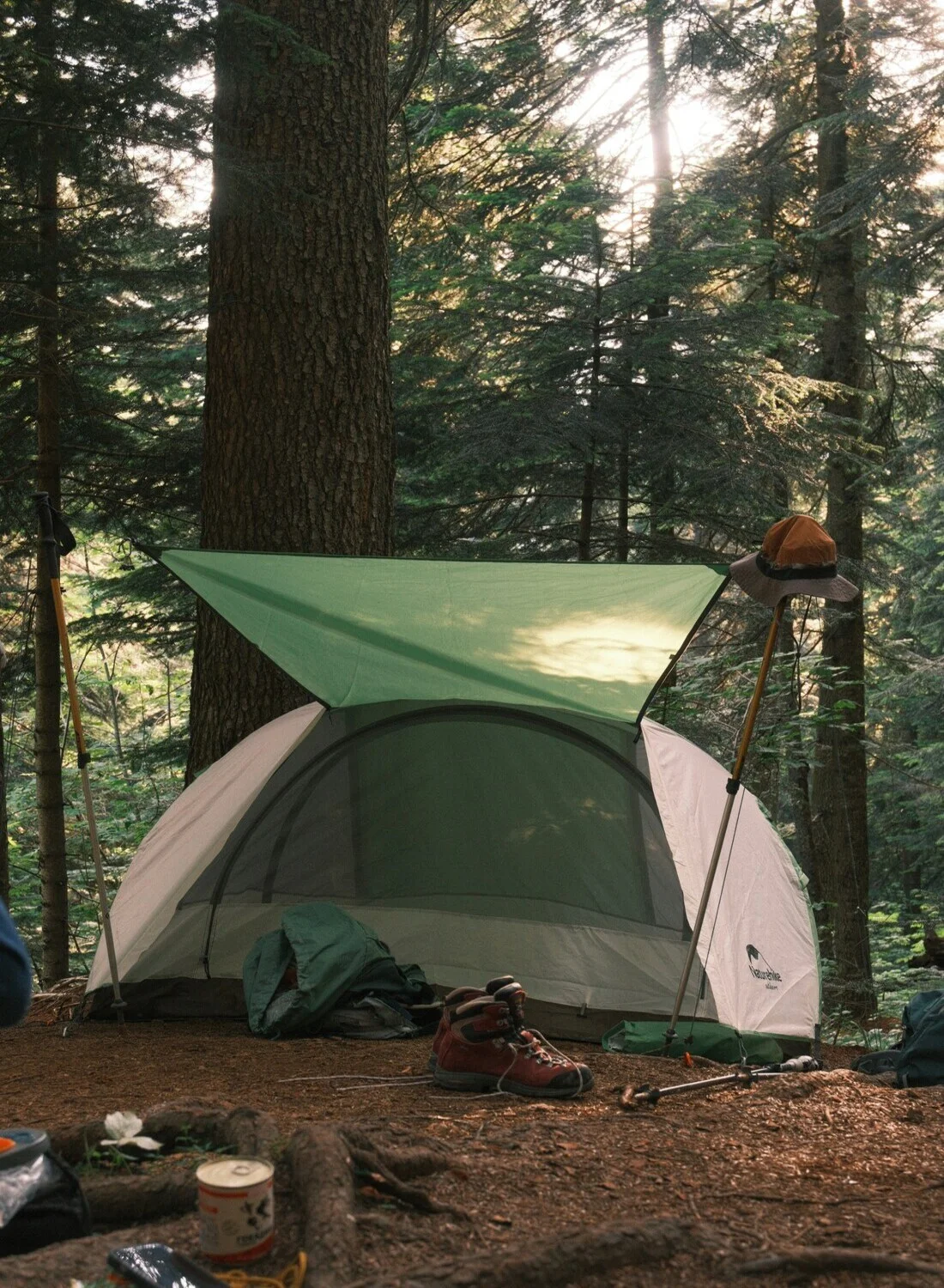 Übernachten im Wald