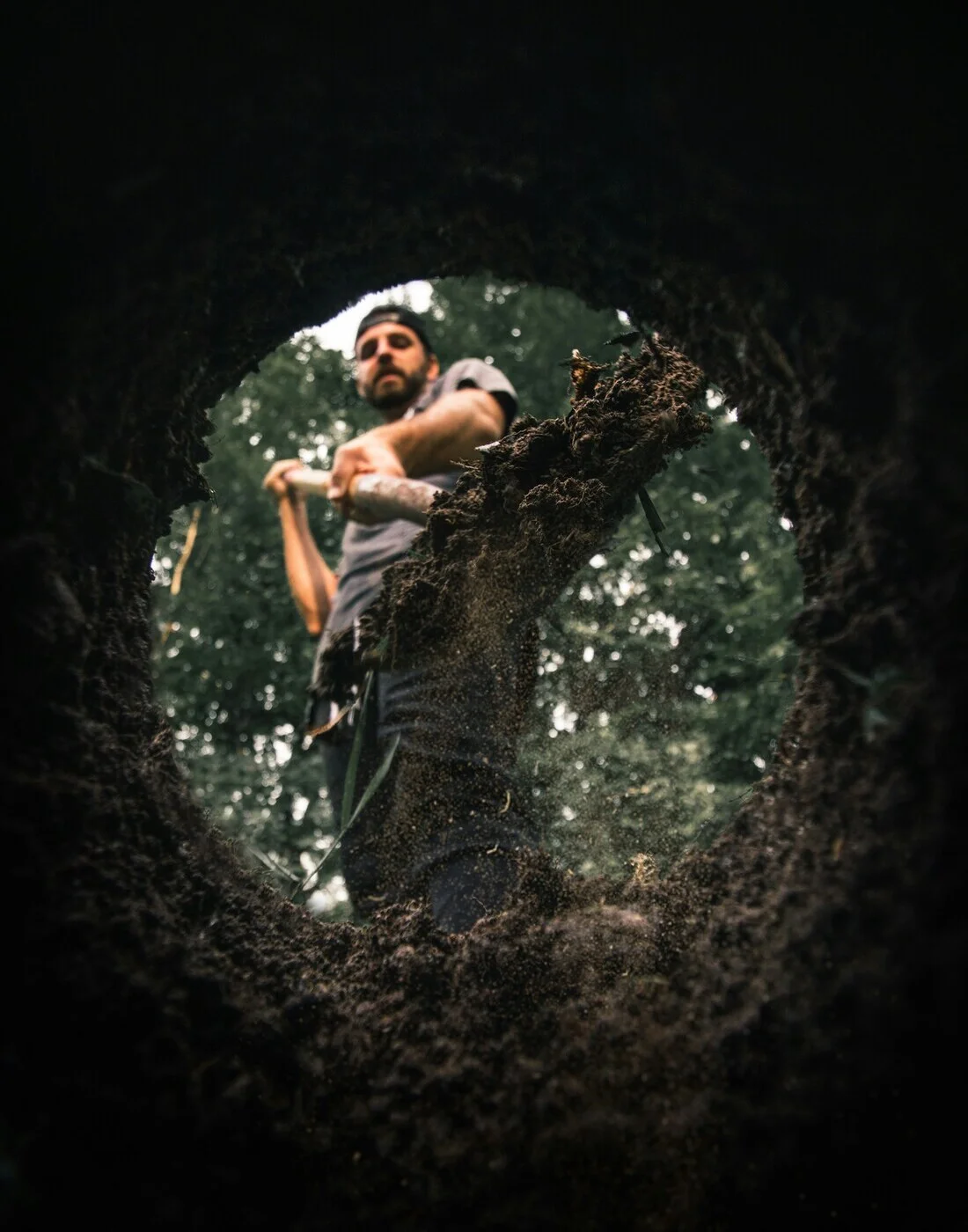 Hidden garden